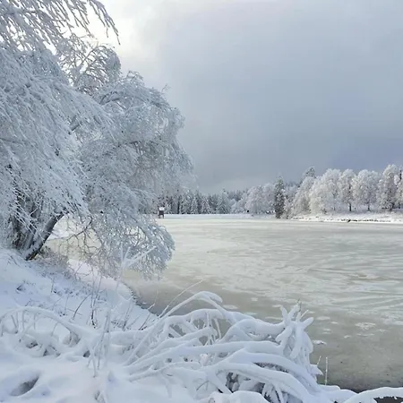 Am In Hahnenklee 아파트